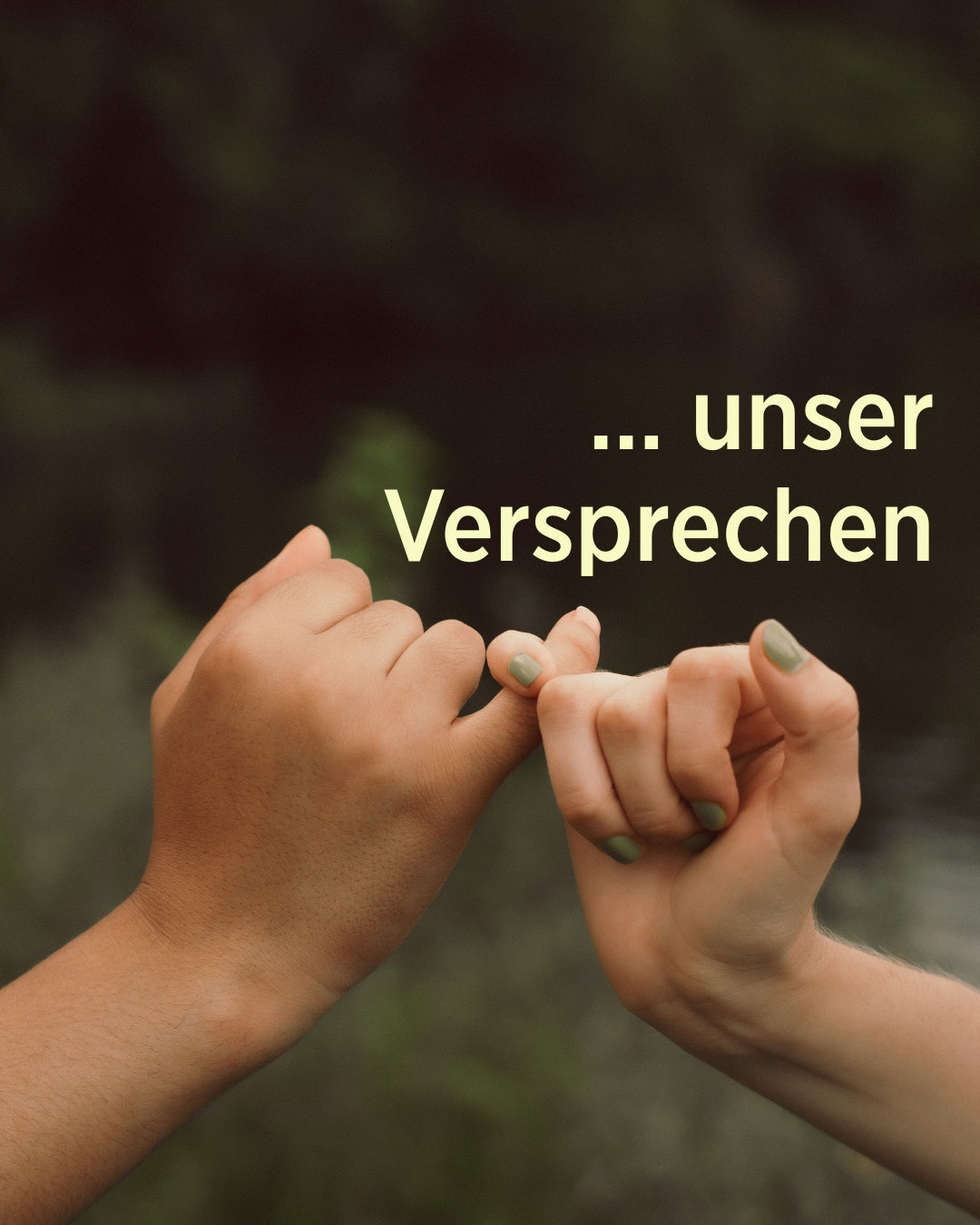Hände im kleinen Finger Schwur mit Schriftzug „Unser Versprechen“ – Sonnengrün steht für natürliche, vegane und plastikfreie Kosmetik aus Österreich