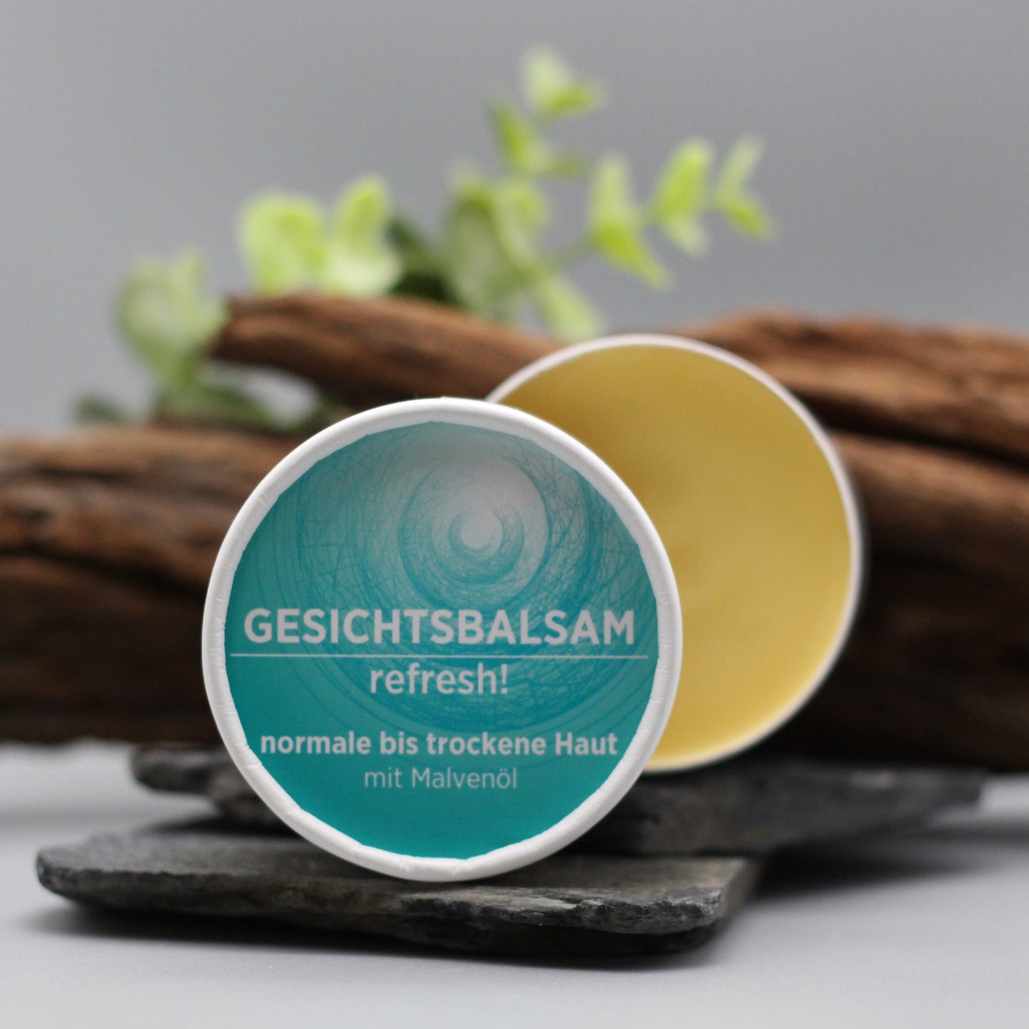 Gesichtsbalsam mit natürlichen Inhaltsstoffen bei trockener Haut mit Aloe Vera, Gesichtsbalsam ist in weißem, zylindrischem Karton verpackt mit türkisem Etikett.